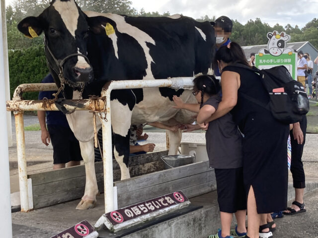 fullsizeoutput_24a8-3-scaled-